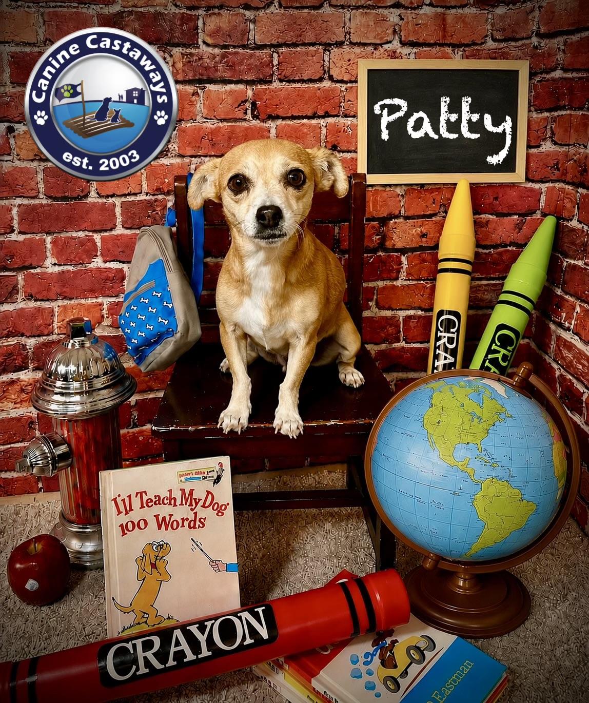 Enlarge Patty, a ADOPTABLE mixed breed in Arcadia, FL image 2/4