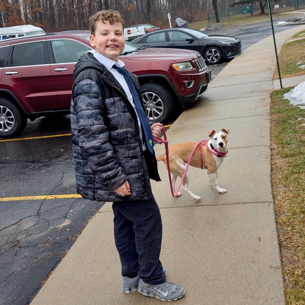 Enlarge Prissy, a Adoptable Mixed Breed in Metamora, MI image 3/6