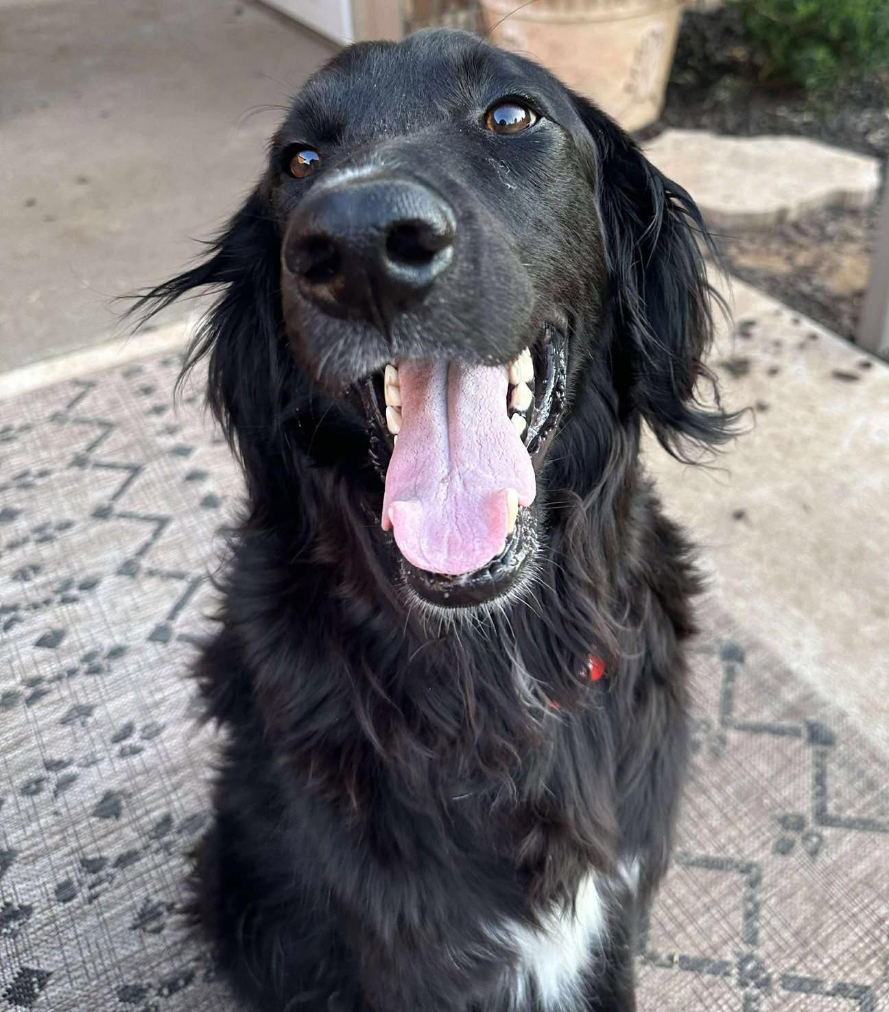 Stryder