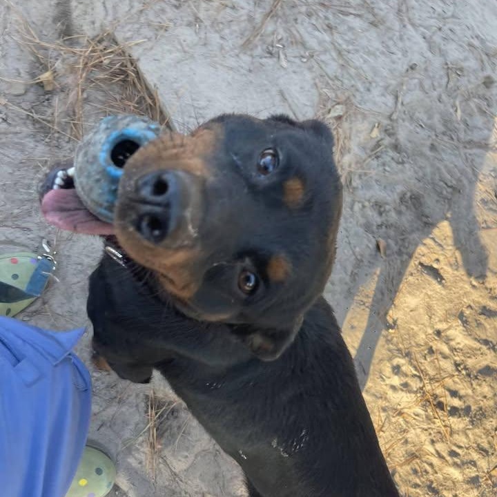 Cora (20260201-03) — thumbnail 3