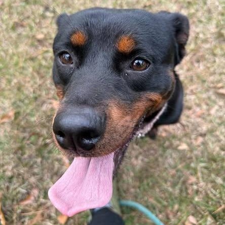 Cora (20260201-03) — thumbnail 4