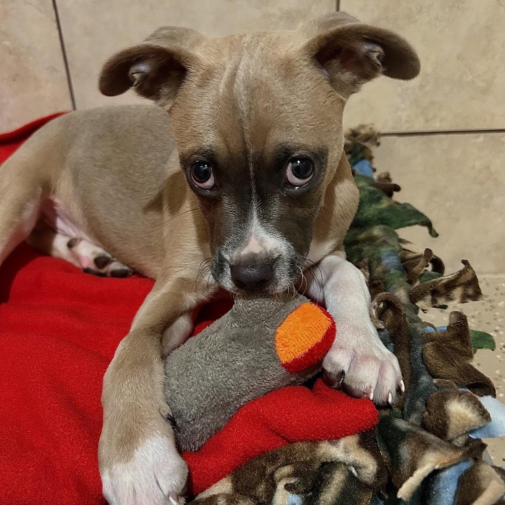 Murphy, Baby Male unknown