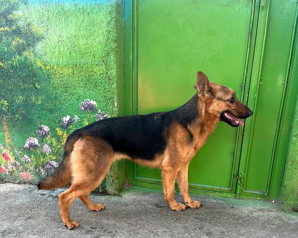 Ms. Gorgeous Nola photo 6