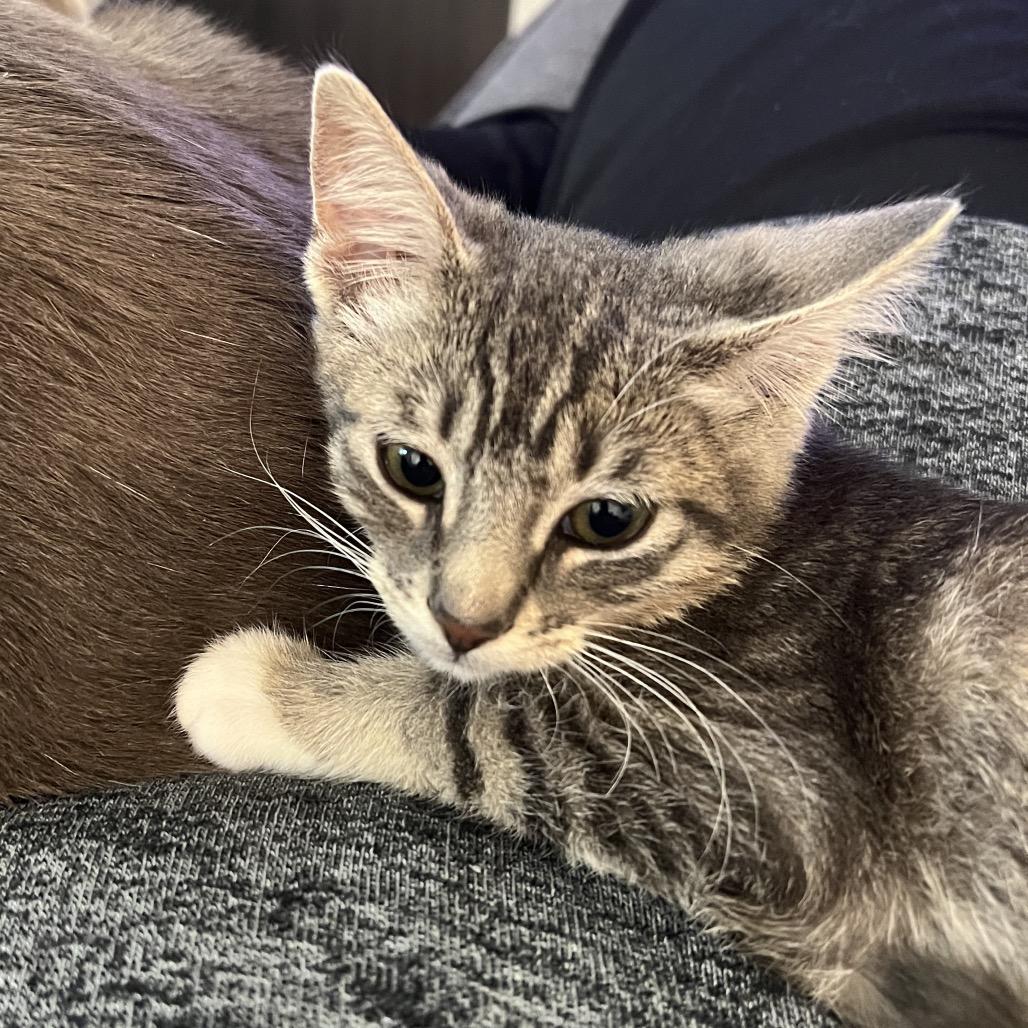 Leila — thumbnail 2