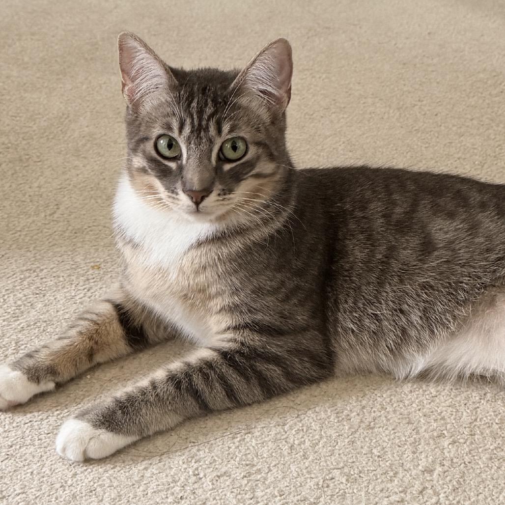 Leila — thumbnail 3