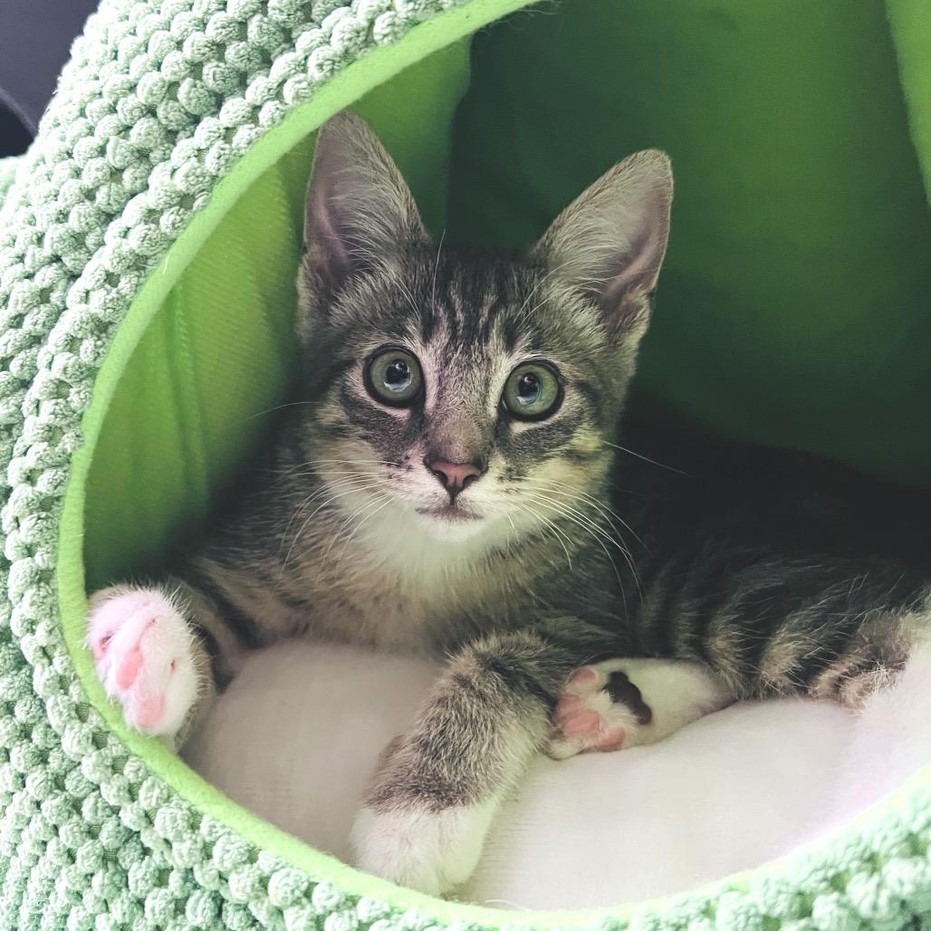 Leila — thumbnail 5