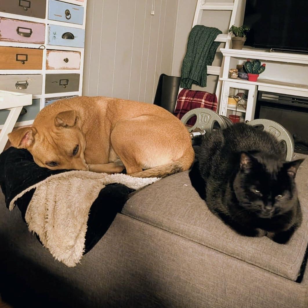 Sam (20250221-08) — thumbnail 3