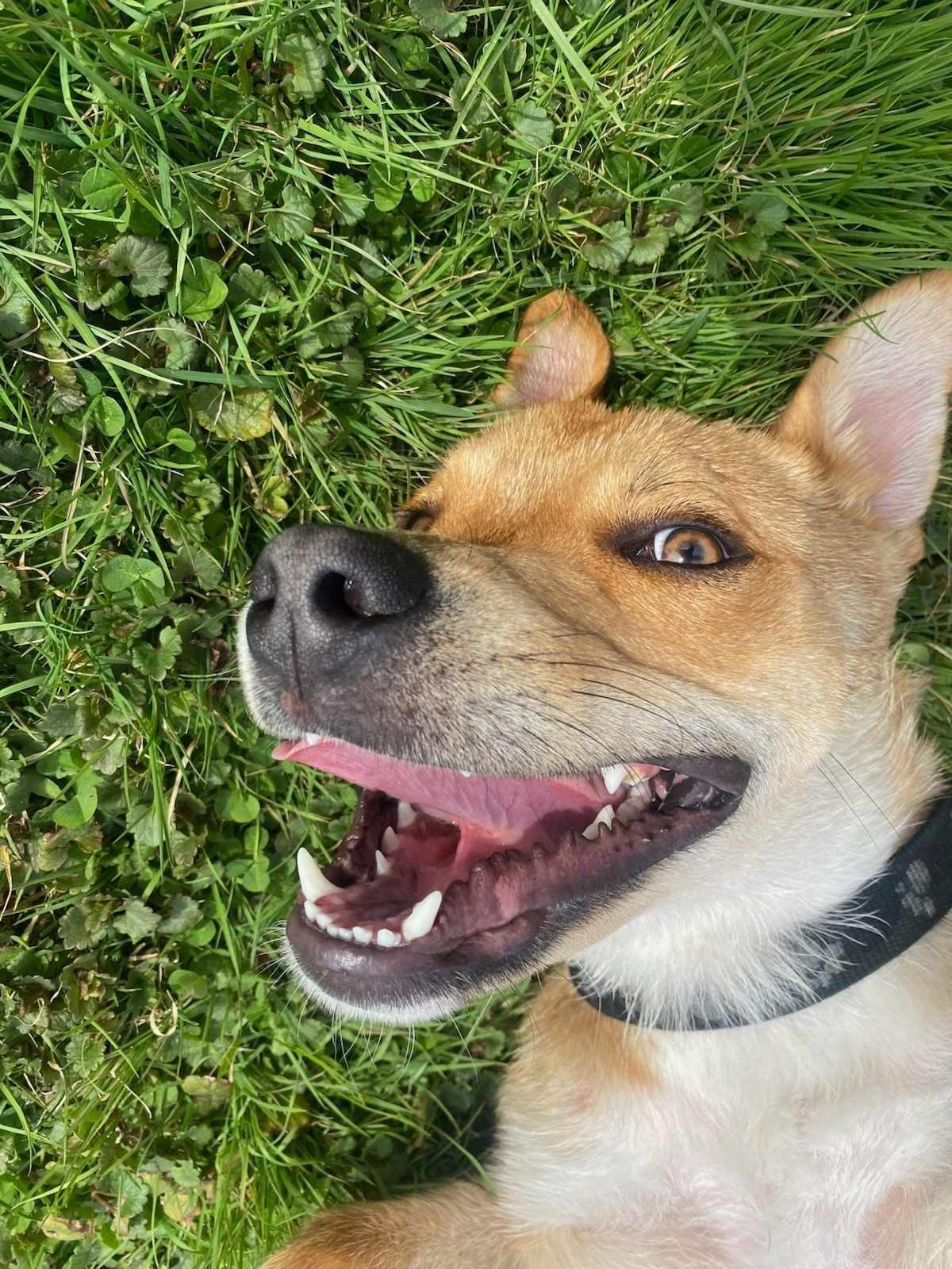 Sam (20250221-08) — thumbnail 4