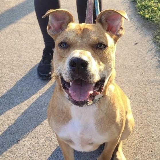 Sam (20250221-08) — thumbnail 5