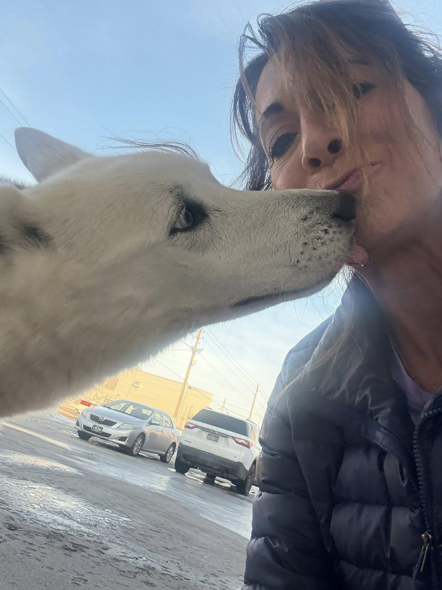 Enlarge Sheba , a ADOPTABLE mixed breed in Clarion, IA image 6/6