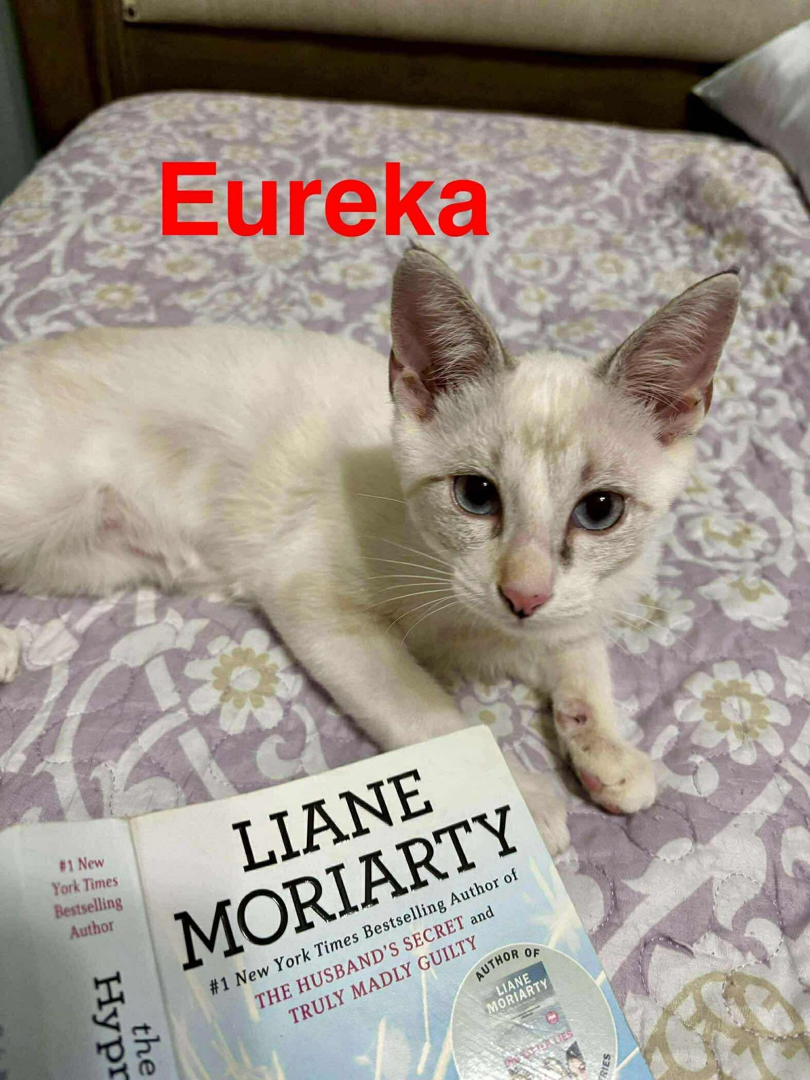 Eureka