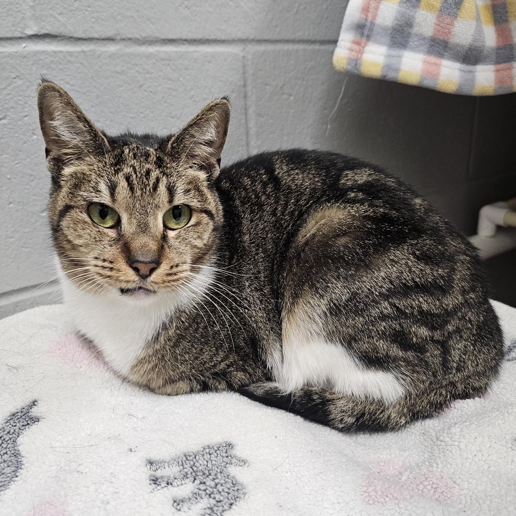 Betty — thumbnail 2