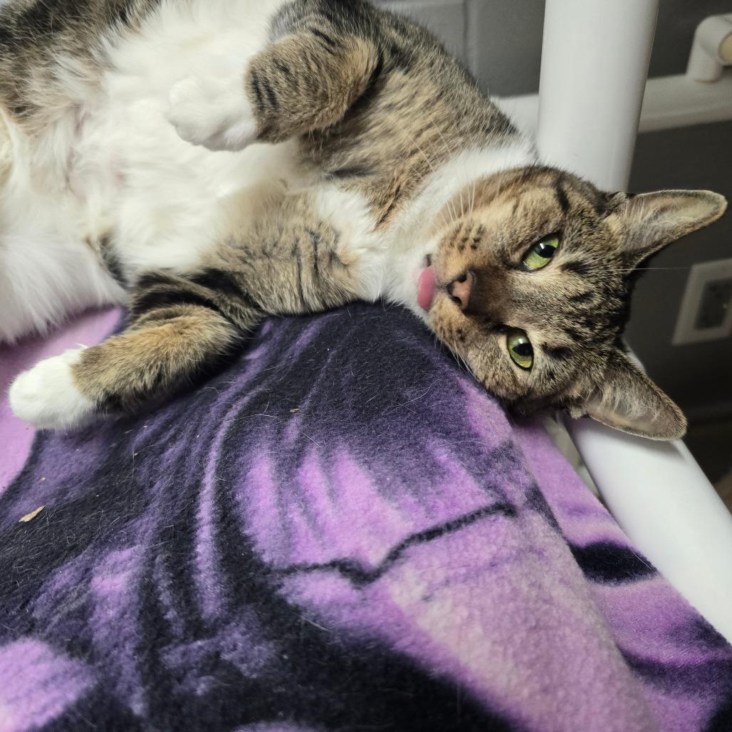 Betty — thumbnail 3