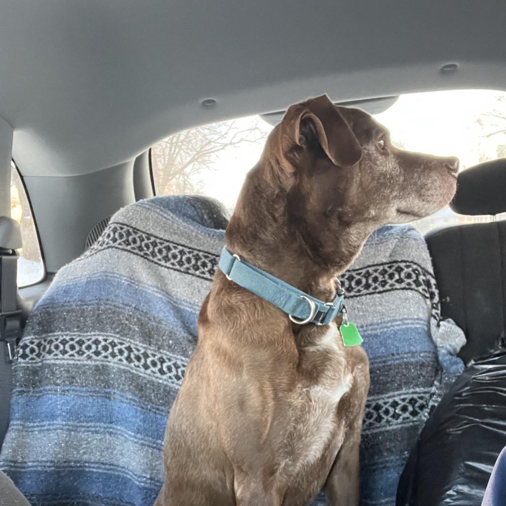 Luke — thumbnail 2