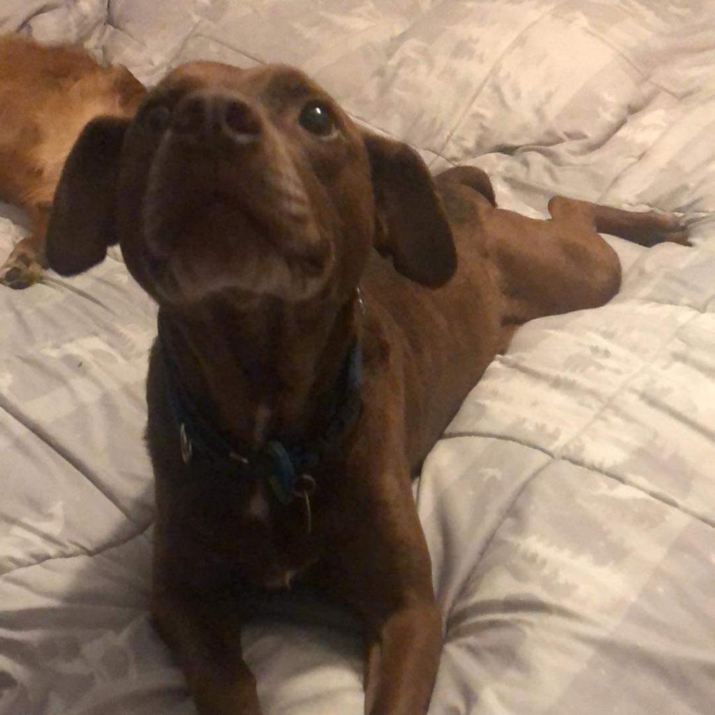 Luke — thumbnail 3