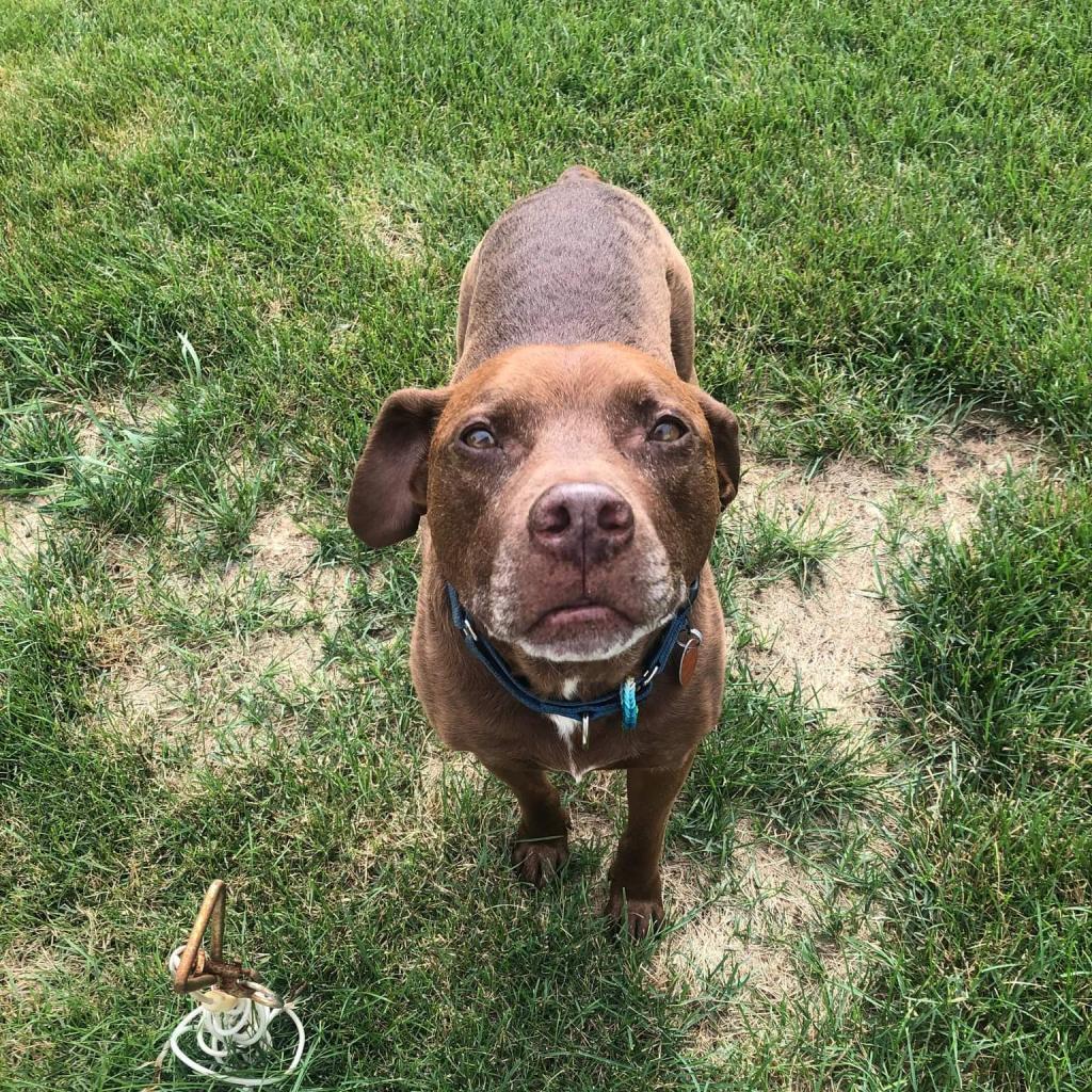 Luke — thumbnail 4