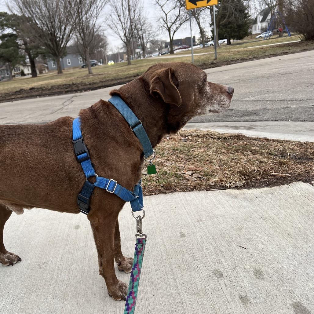 Luke — thumbnail 5