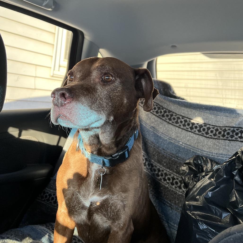 Luke — thumbnail 6