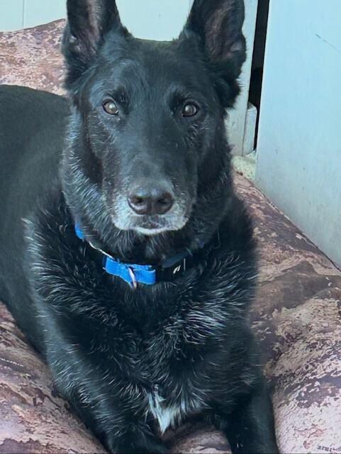 Atlas - Located in Arkansas