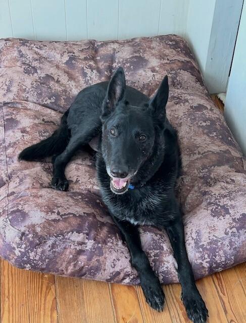 Atlas - Located in Arkansas — thumbnail 5