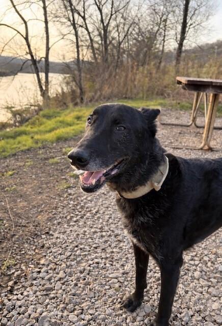 Atlas - Located in Arkansas — thumbnail 6