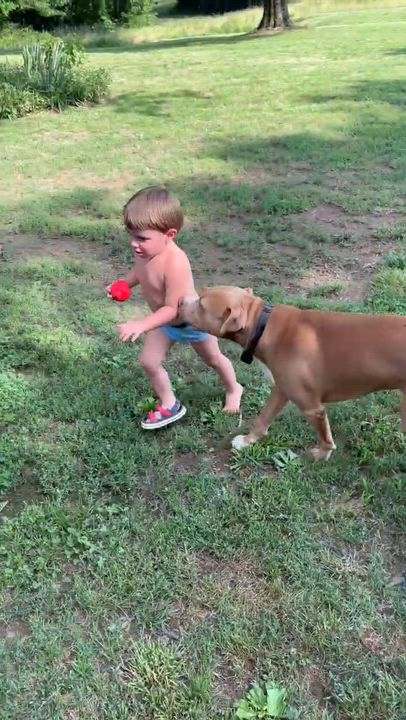 Enlarge POLLY-Watch my video, a ADOPTABLE mixed breed in Jackson, TN video 6/6