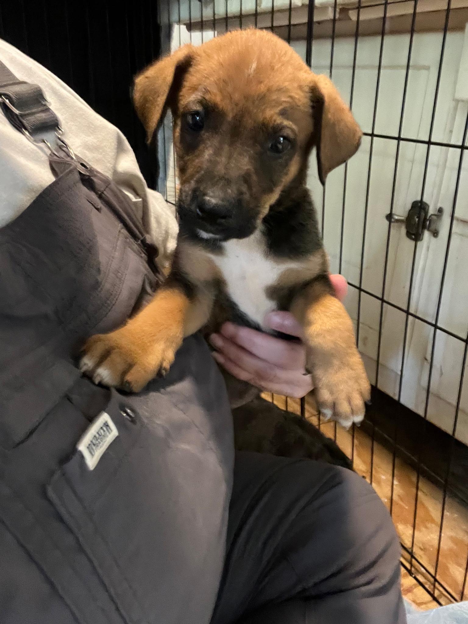 Clover- located in Rutherfordton, NC