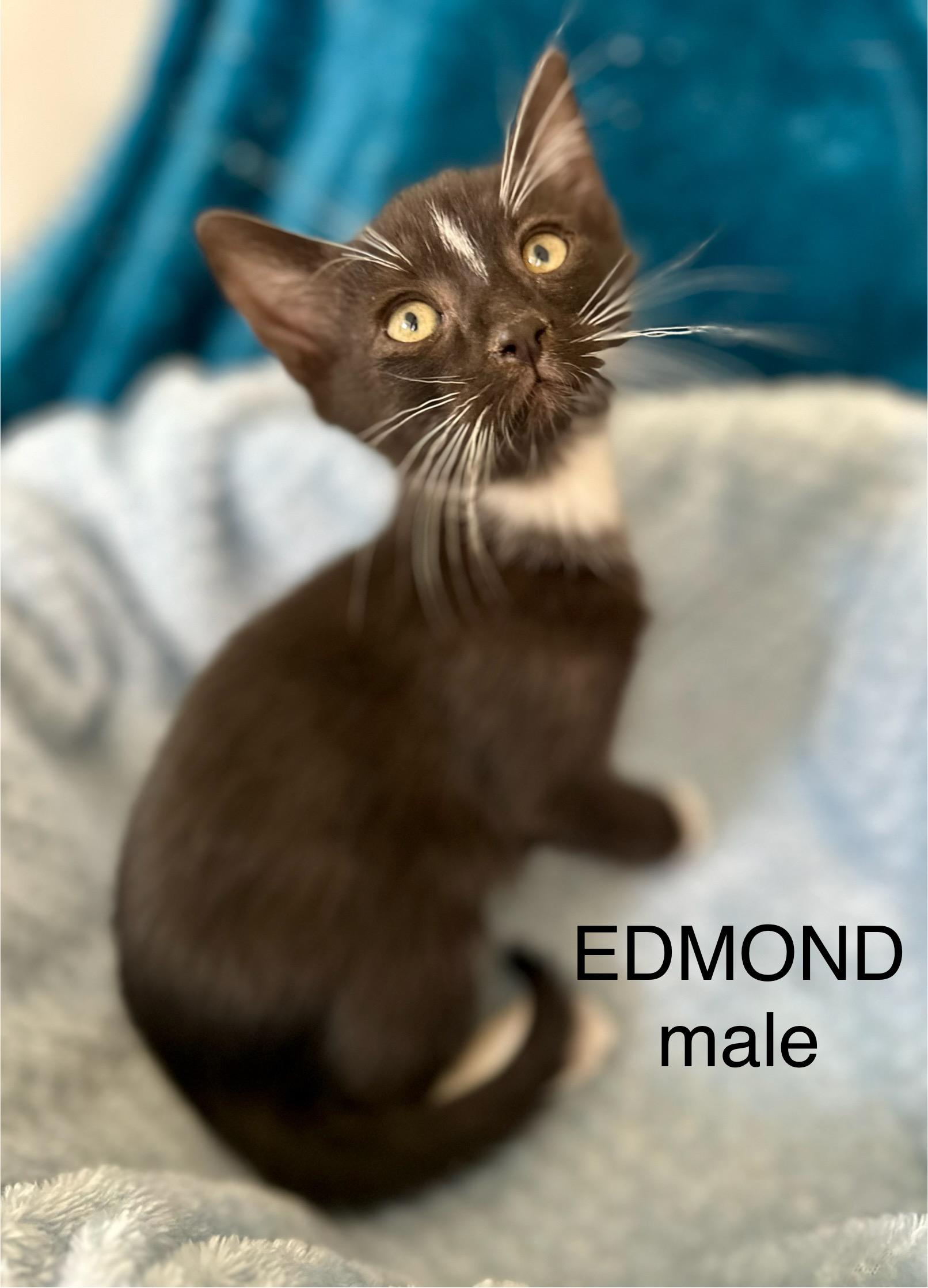 Edmond