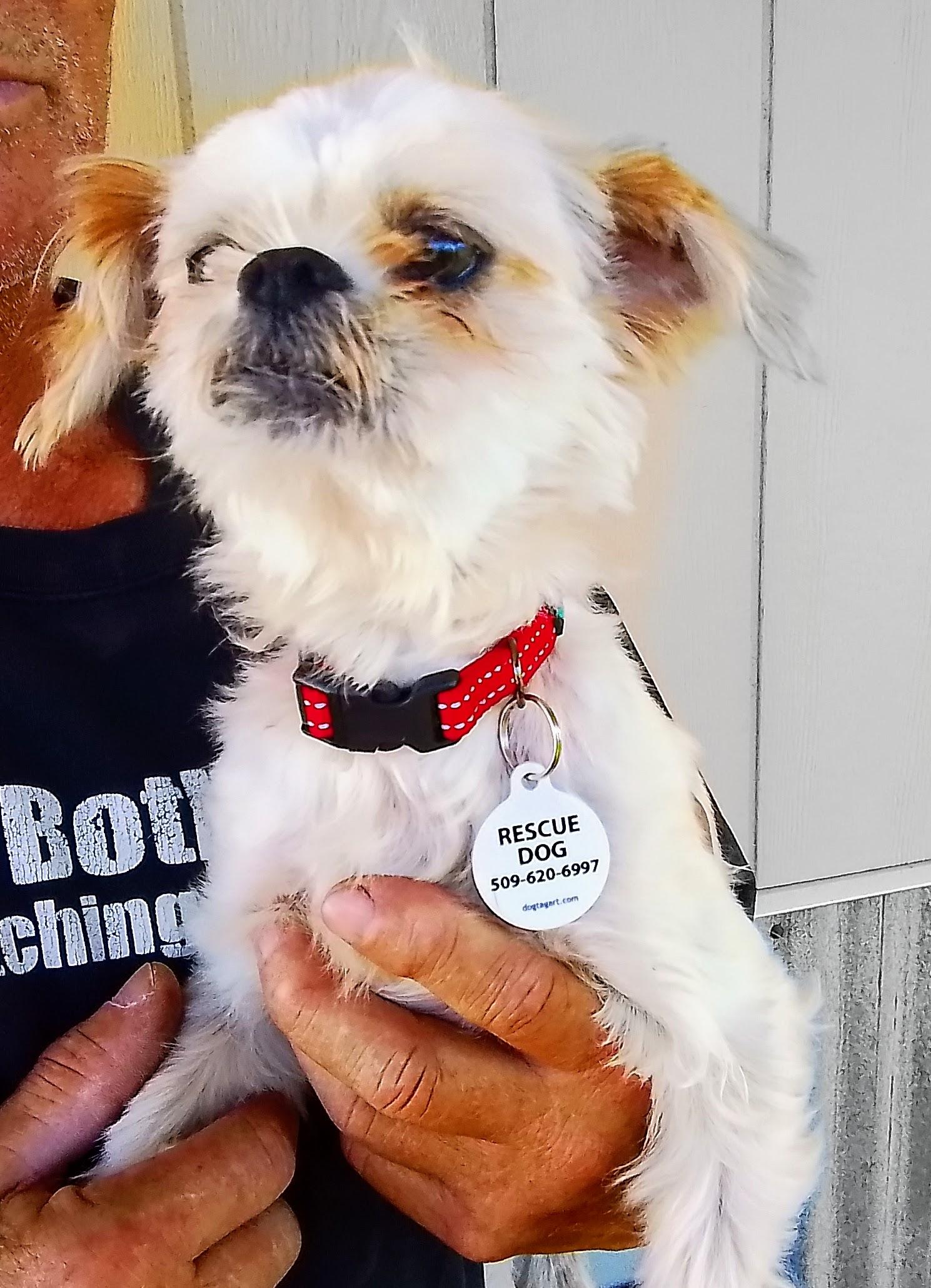Benji
