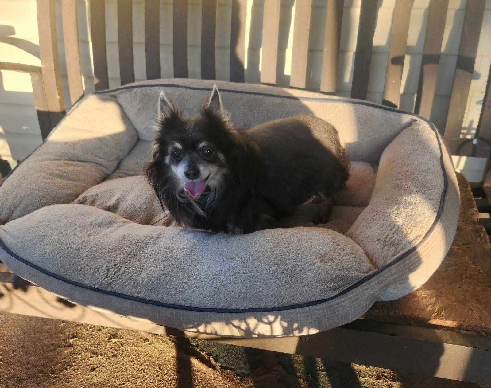 William Gatlin — thumbnail 2