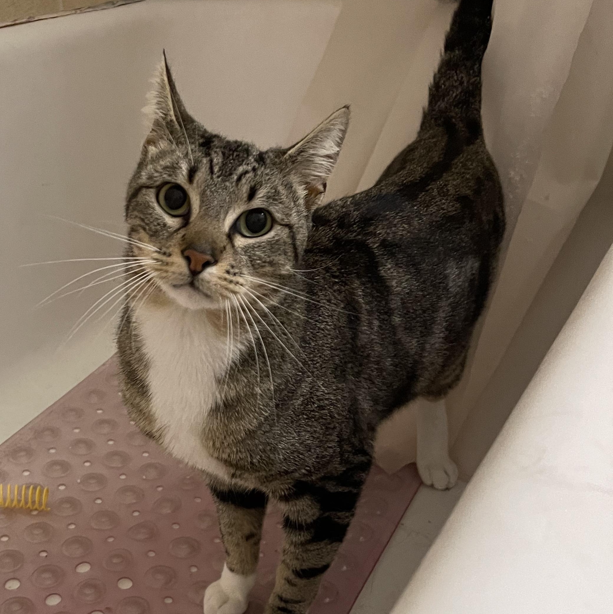 Danny — thumbnail 3