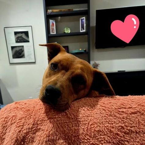 Mamma Mia — thumbnail 2