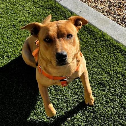 Mamma Mia — thumbnail 3