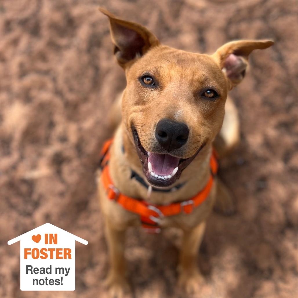 Mamma Mia — thumbnail 4