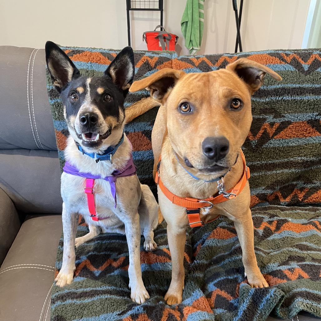 Mamma Mia — thumbnail 5