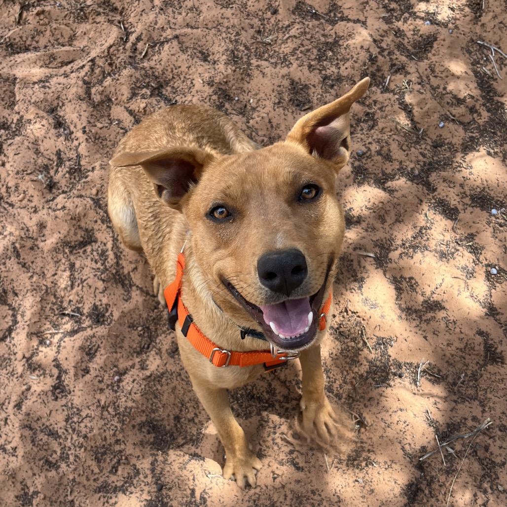 Mamma Mia — thumbnail 6