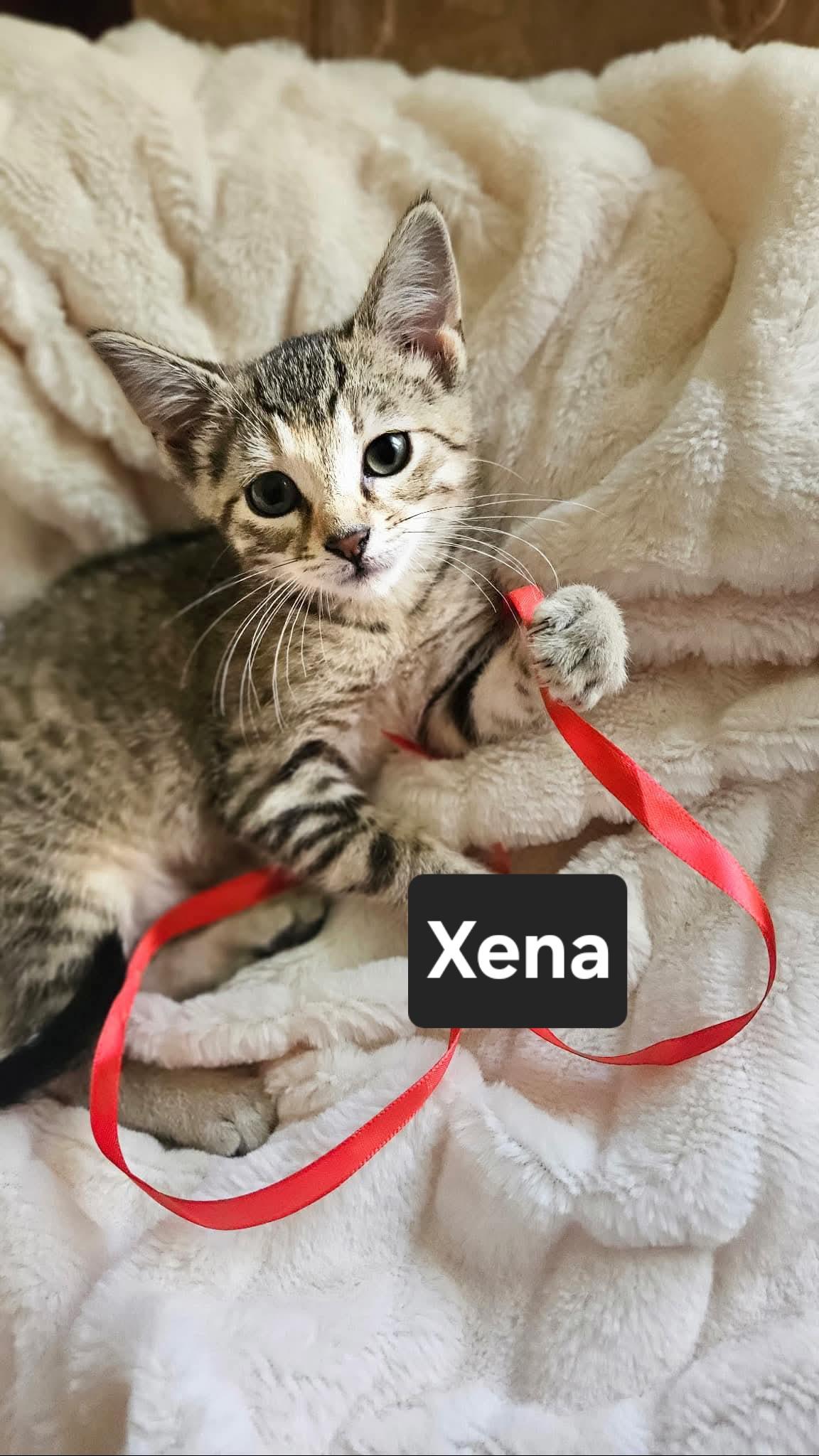 Xena