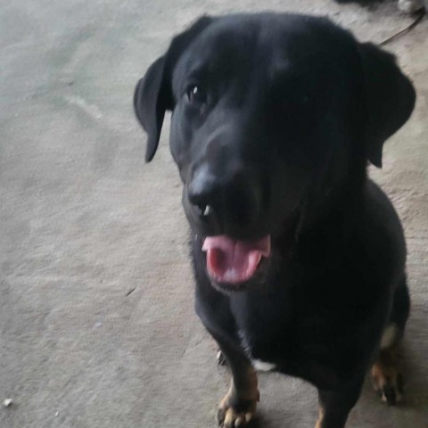 Cyrus photo 4
