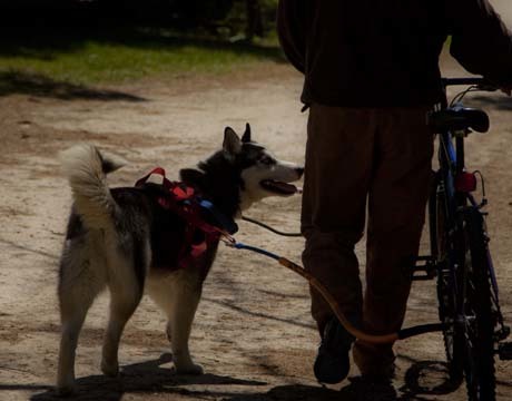 Walker photo 4