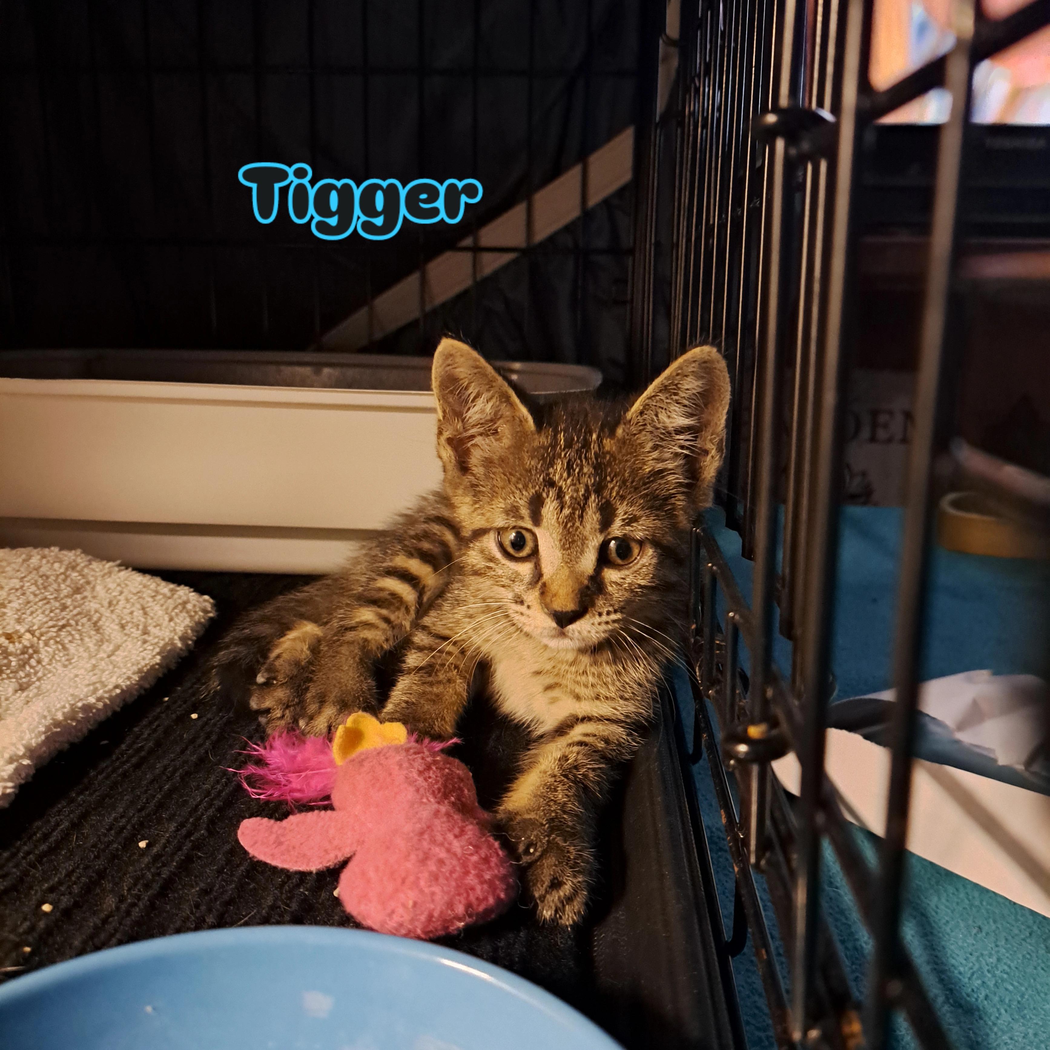 Tigger