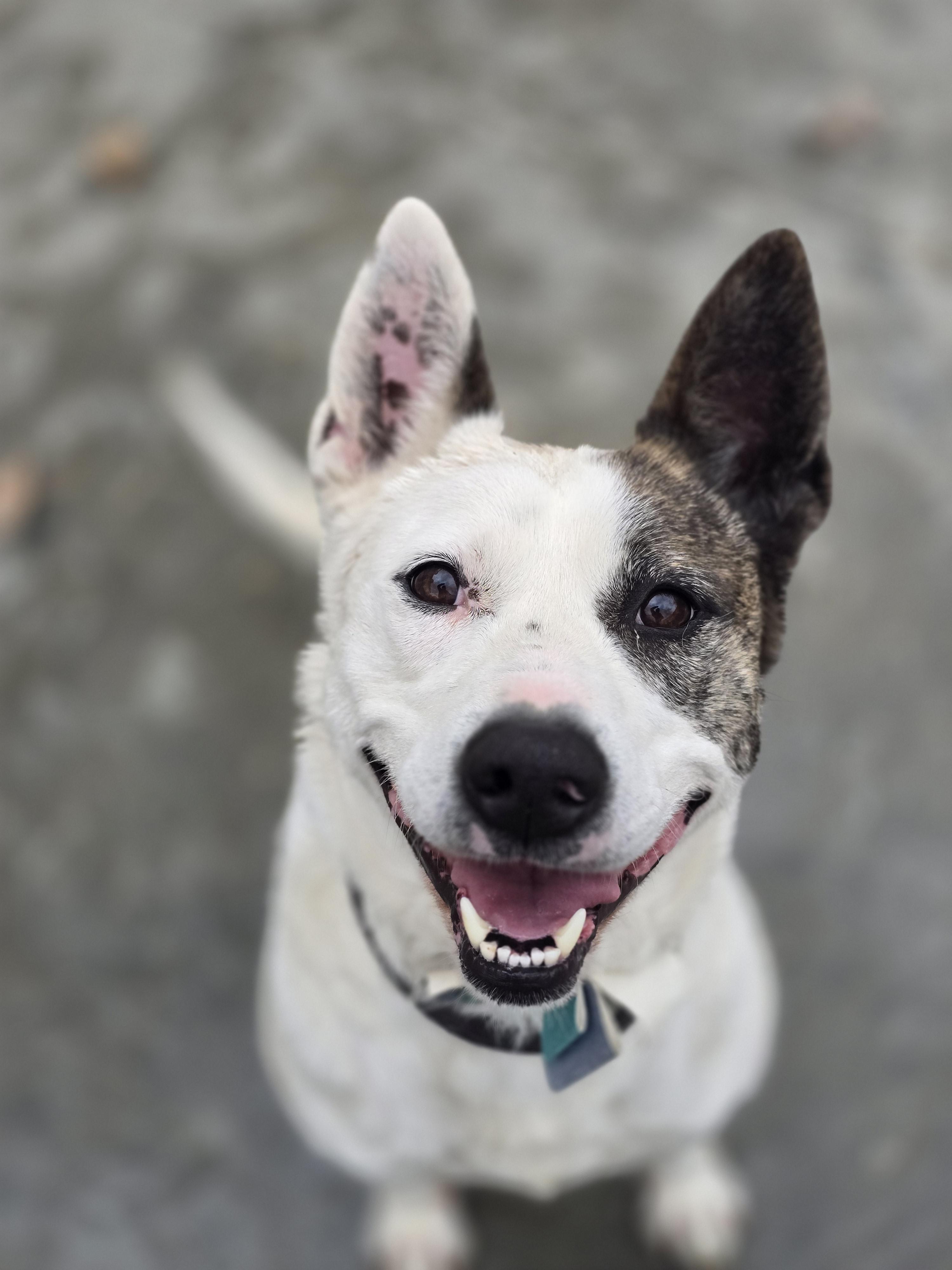 Booker J has a sponsor!