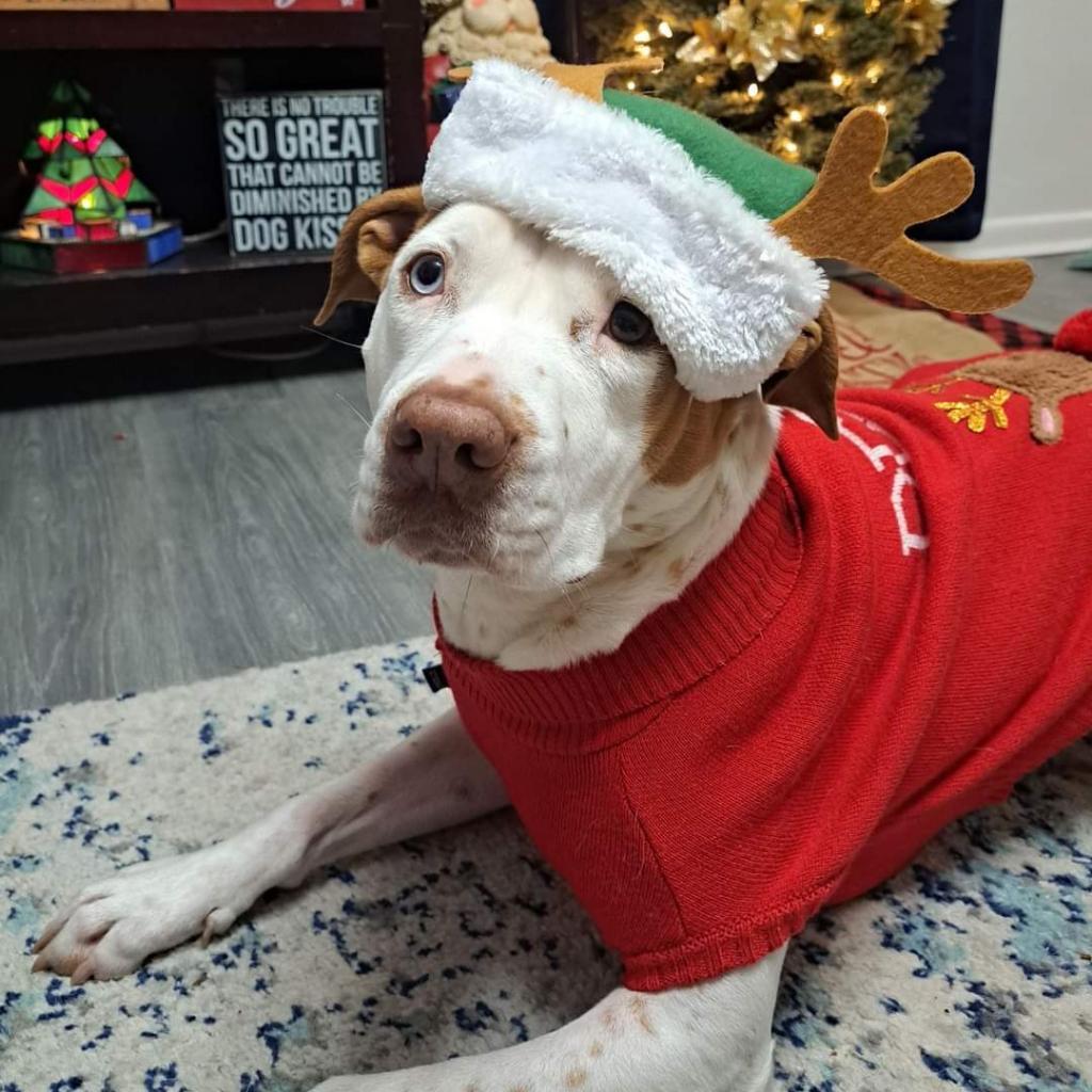 Heidi DJ* — thumbnail 2