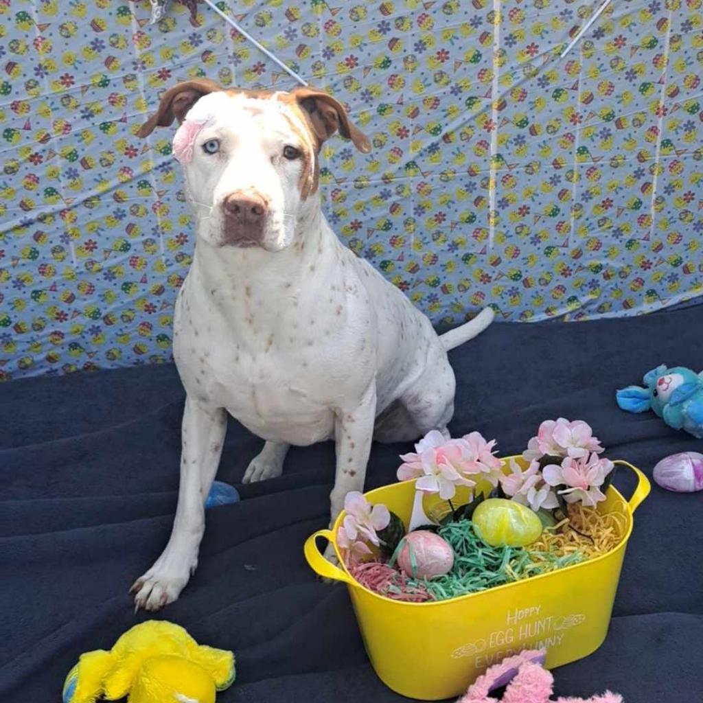 Heidi DJ* — thumbnail 4