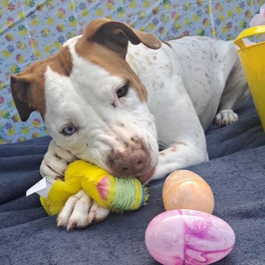 Heidi DJ* — thumbnail 5