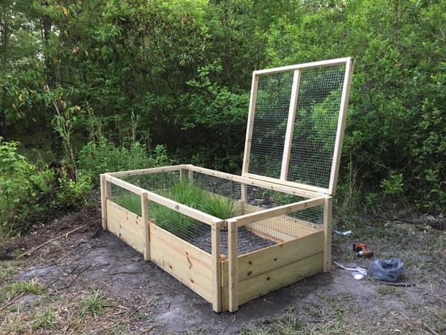 Casper E Box in NJ, a Adoptable Eastern Box in Marlton, NJ image 3/6