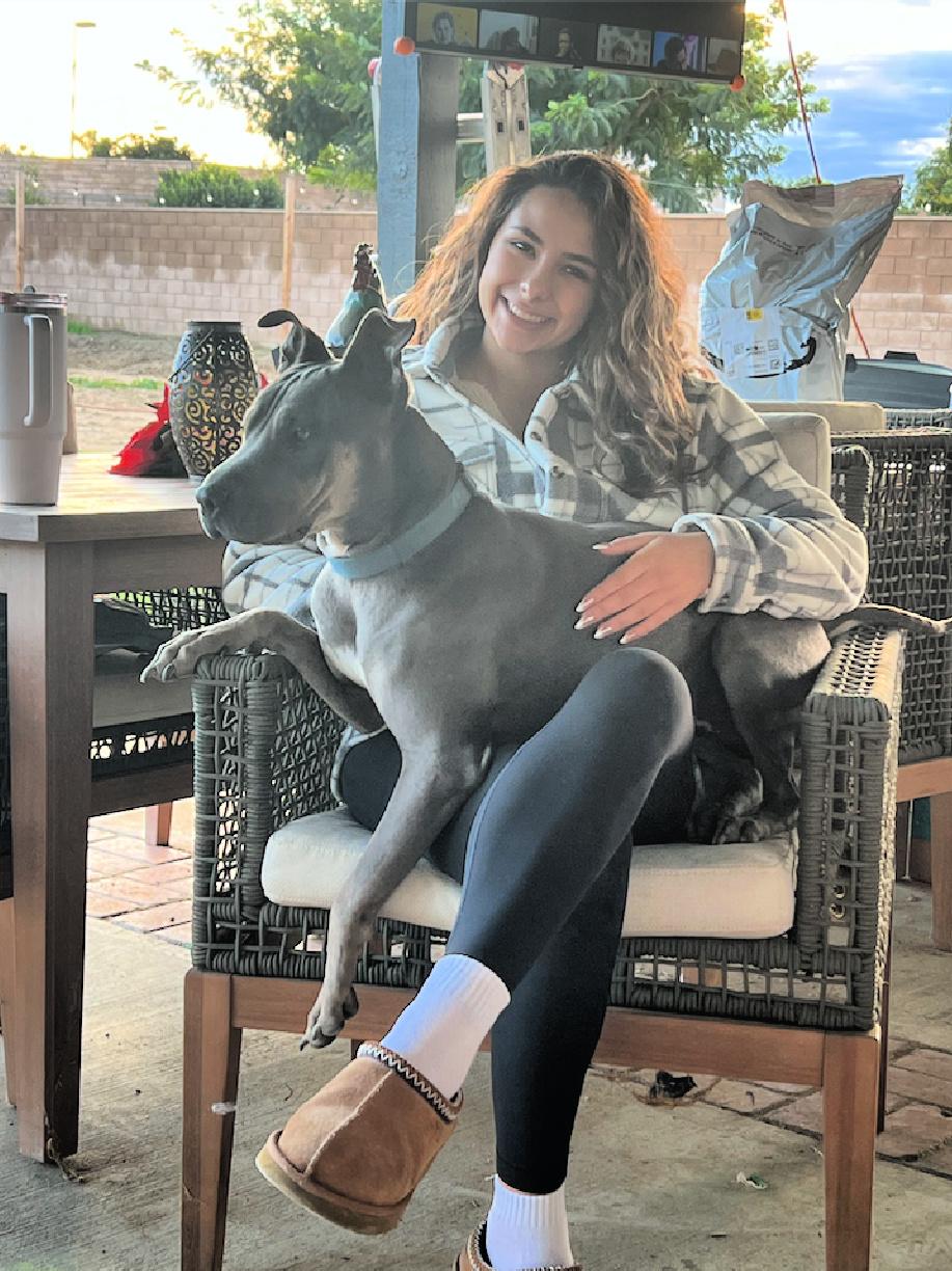 Chapo is very friendly, a Adoptable mixed breed in Redondo Beach, CA image 5/6