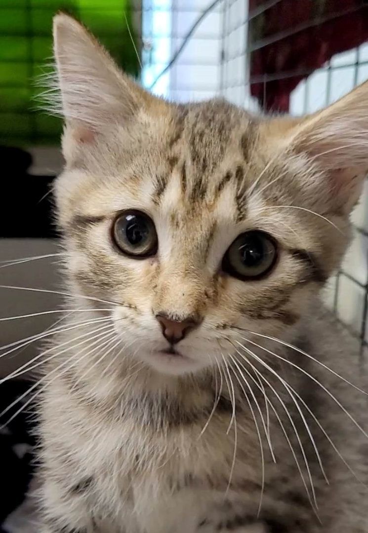 Yennefer — thumbnail 2