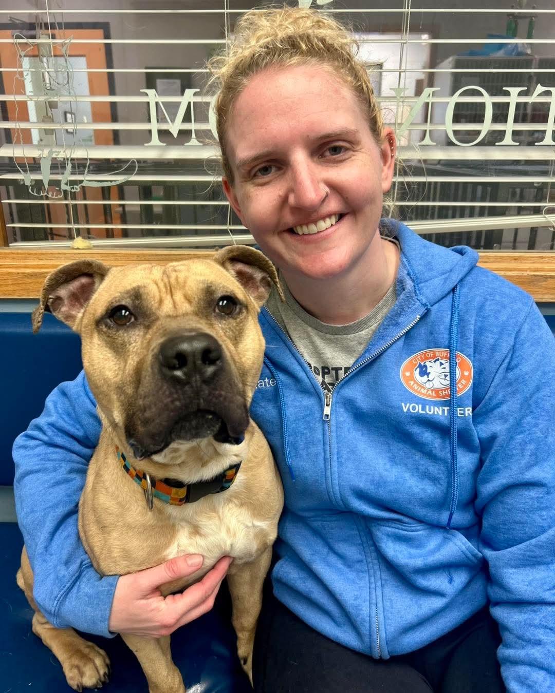 Enlarge Hagrid, a ADOPTABLE mixed breed in Buffalo, NY image 2/6