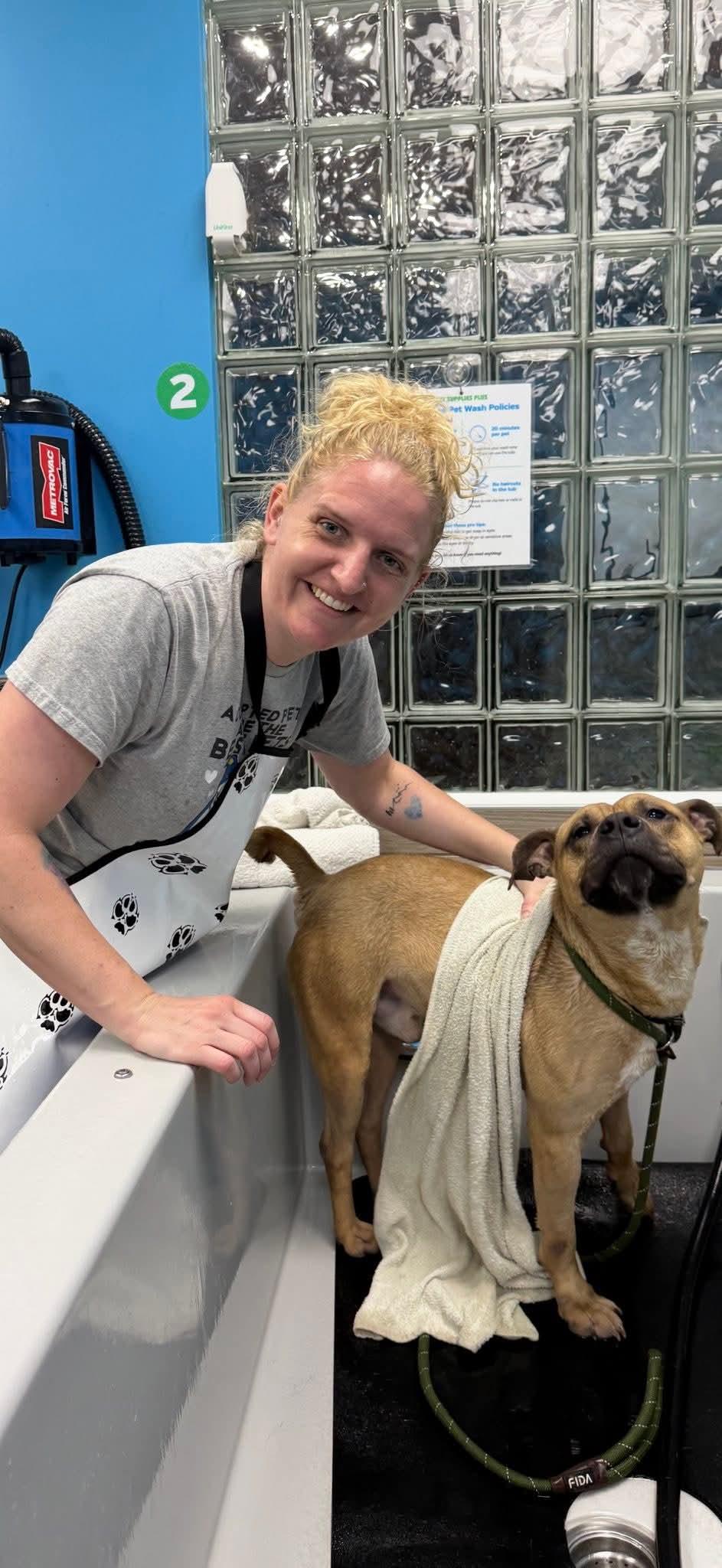 Enlarge Hagrid, a ADOPTABLE mixed breed in Buffalo, NY image 5/6