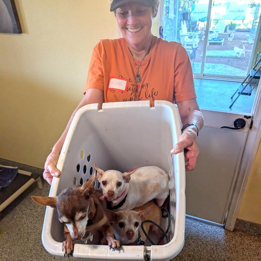 Donna — thumbnail 4